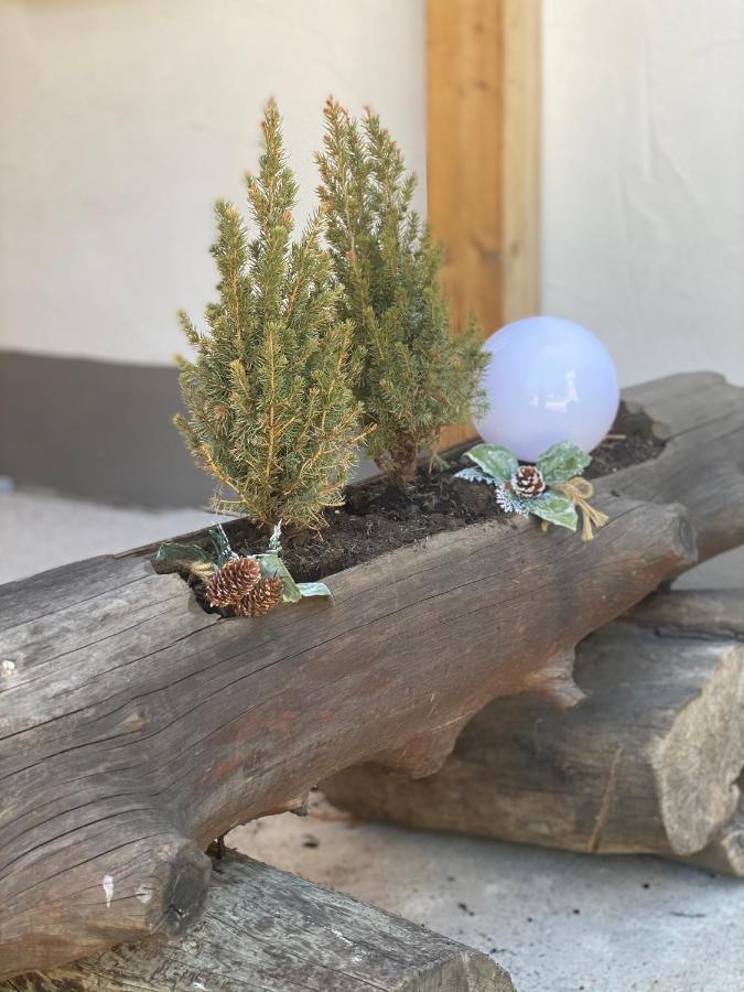 Ferienwohnung Natururlaub Muggenbrunn Todtnau Kültér fotó