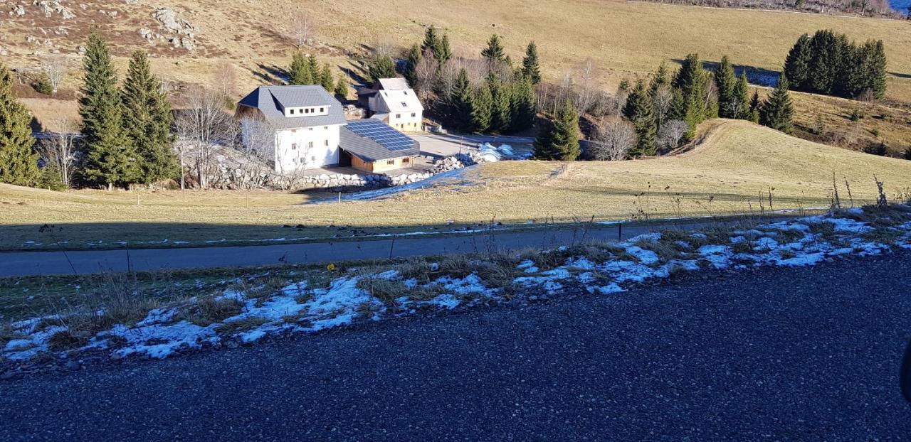 Ferienwohnung Natururlaub Muggenbrunn Todtnau Kültér fotó