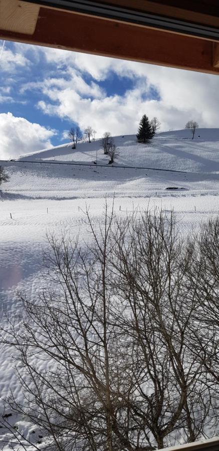 Ferienwohnung Natururlaub Muggenbrunn Todtnau Kültér fotó