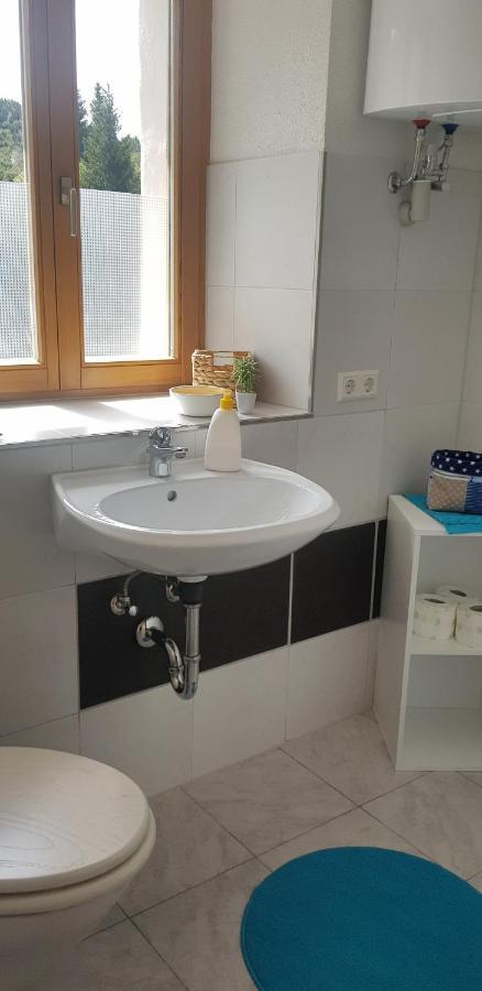 Ferienwohnung Natururlaub Muggenbrunn Todtnau Kültér fotó