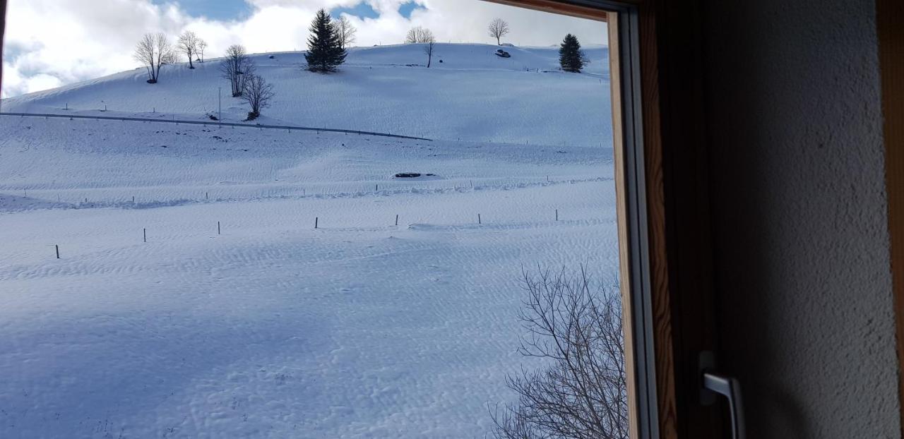 Ferienwohnung Natururlaub Muggenbrunn Todtnau Kültér fotó